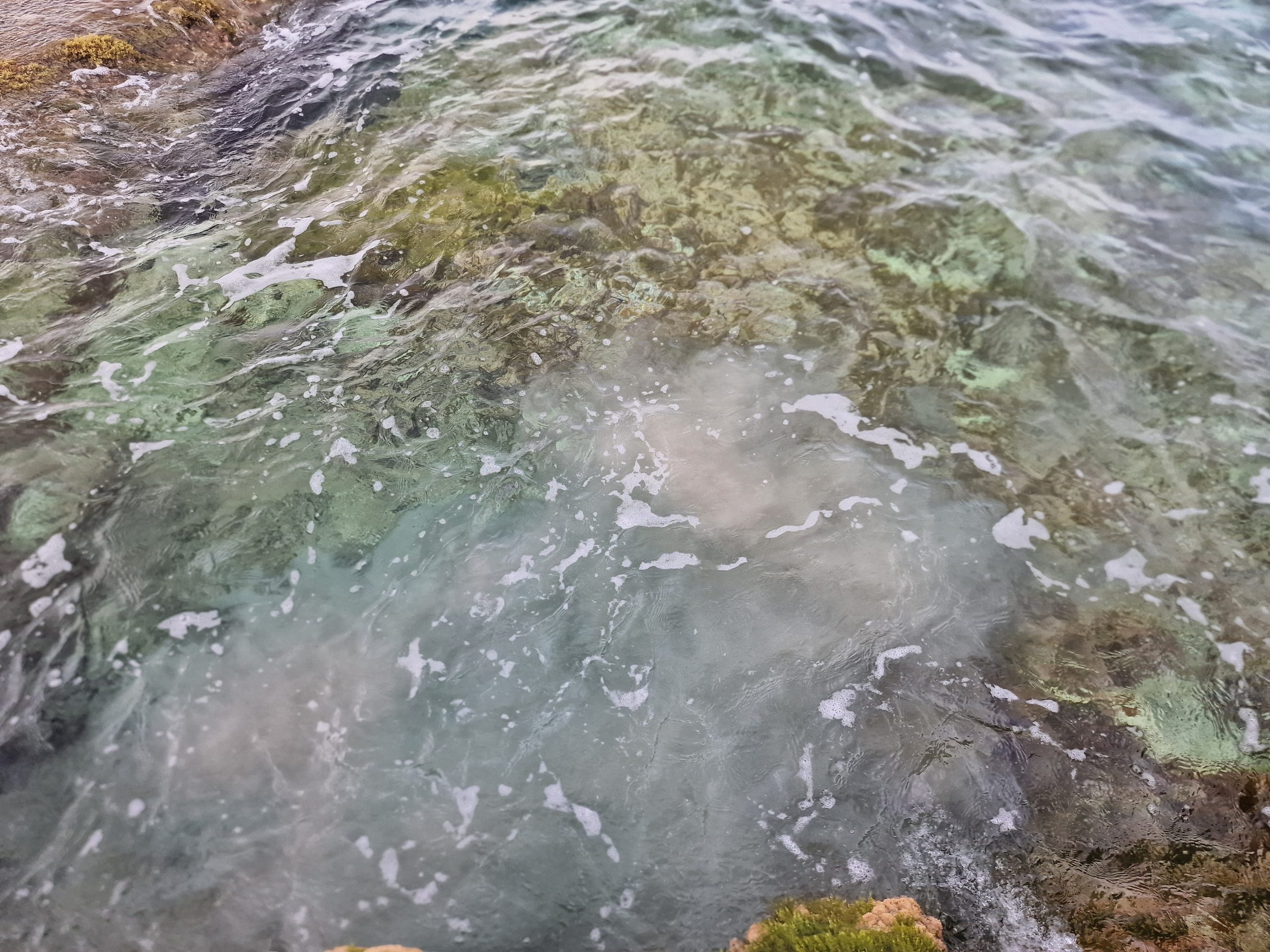 Ashes scattering