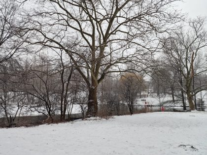 Ashes scattering in Central Park New York